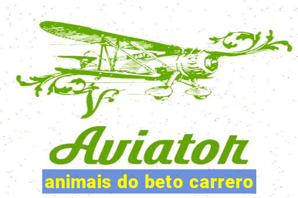 animais do beto carrero